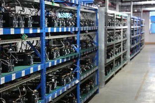 High-efficiency Bitcoin mining rig powering through digital transactions