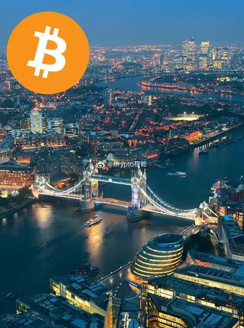 A Bitcoin ASIC miner performing calculations